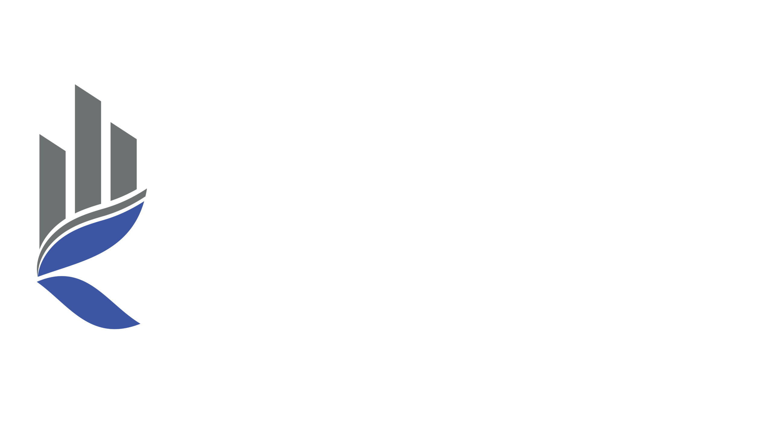 din homes logo-01